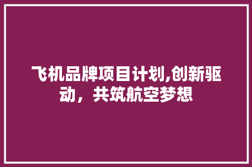 飞机品牌项目计划,创新驱动，共筑航空梦想
