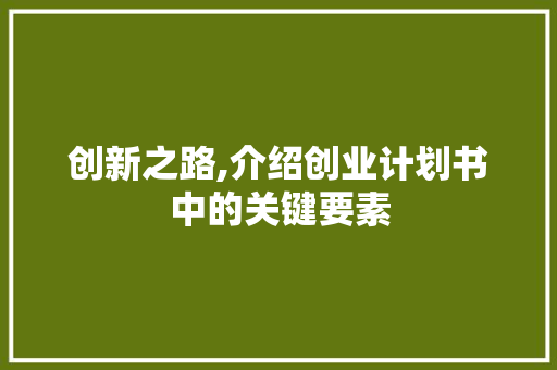 创新之路,介绍创业计划书中的关键要素