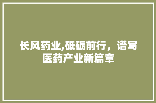 长风药业,砥砺前行，谱写医药产业新篇章 工作总结