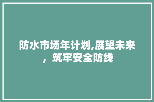 防水市场年计划,展望未来，筑牢安全防线