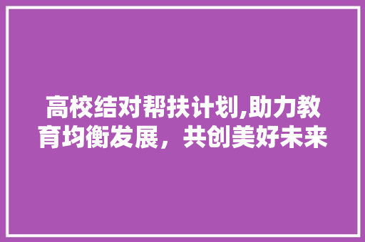 高校结对帮扶计划,助力教育均衡发展，共创美好未来