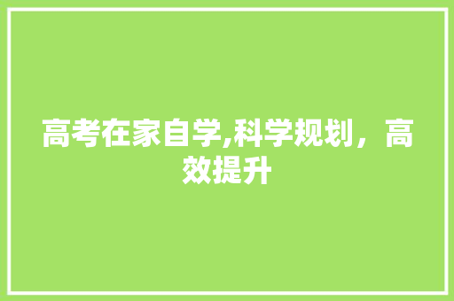 高考在家自学,科学规划，高效提升