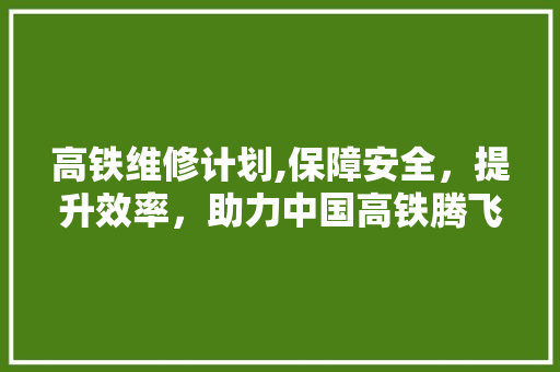 高铁维修计划,保障安全，提升效率，助力中国高铁腾飞