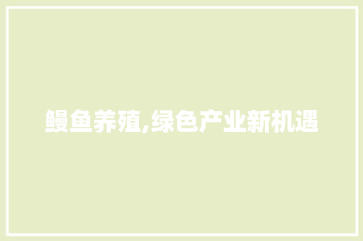 鳗鱼养殖,绿色产业新机遇