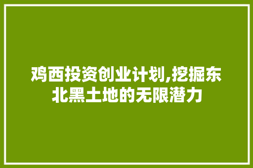 鸡西投资创业计划,挖掘东北黑土地的无限潜力