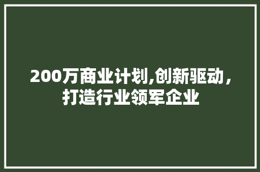 200万商业计划,创新驱动，打造行业领军企业