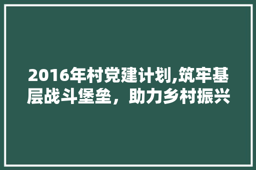 2016年村党建计划,筑牢基层战斗堡垒，助力乡村振兴