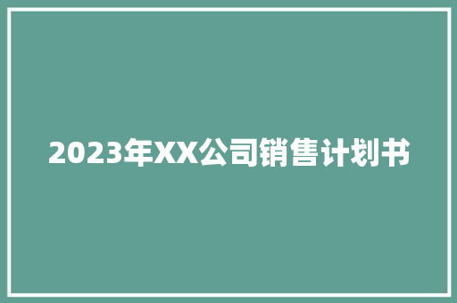 2023年XX公司销售计划书