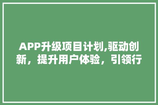 APP升级项目计划,驱动创新，提升用户体验，引领行业发展