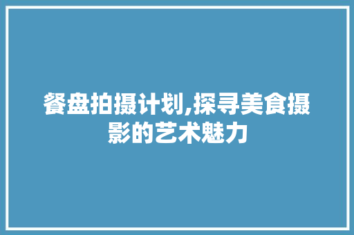 餐盘拍摄计划,探寻美食摄影的艺术魅力