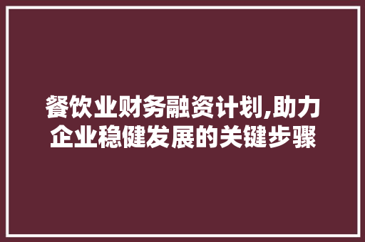 餐饮业财务融资计划,助力企业稳健发展的关键步骤 工作总结