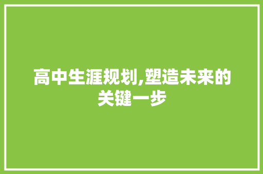 高中生涯规划,塑造未来的关键一步