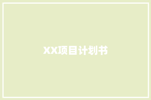 XX项目计划书 工作报告