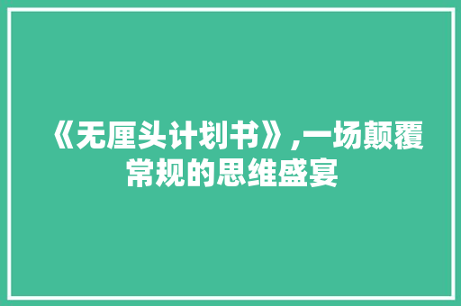 《无厘头计划书》,一场颠覆常规的思维盛宴