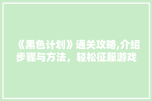 《黑色计划》通关攻略,介绍步骤与方法，轻松征服游戏巅峰