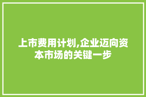上市费用计划,企业迈向资本市场的关键一步