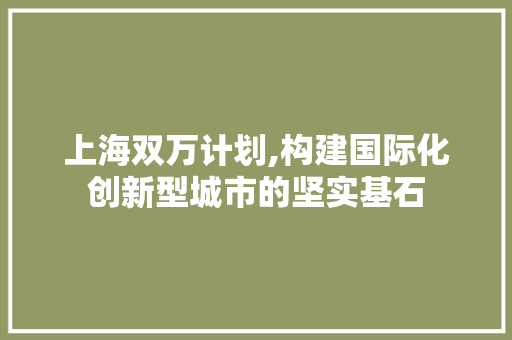 上海双万计划,构建国际化创新型城市的坚实基石