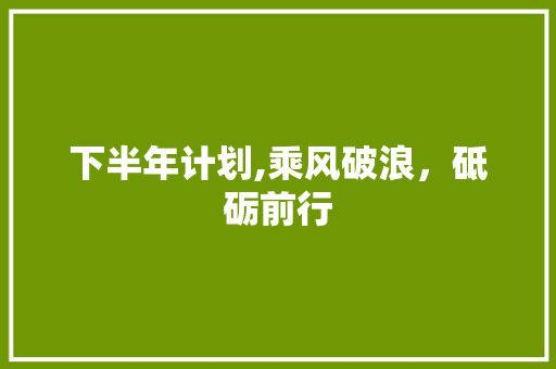 下半年计划,乘风破浪，砥砺前行
