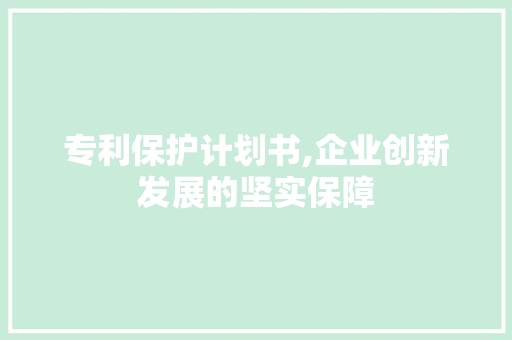 专利保护计划书,企业创新发展的坚实保障