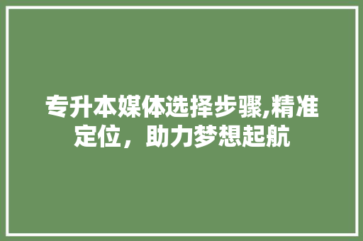 专升本媒体选择步骤,精准定位，助力梦想起航