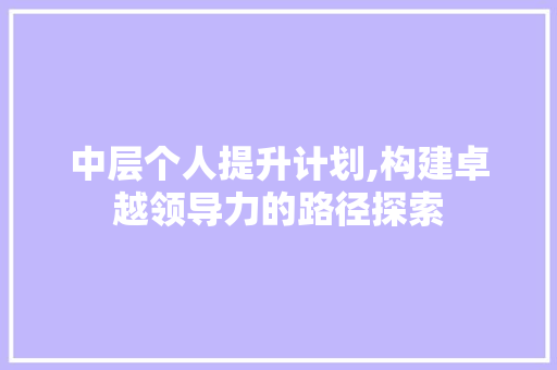中层个人提升计划,构建卓越领导力的路径探索