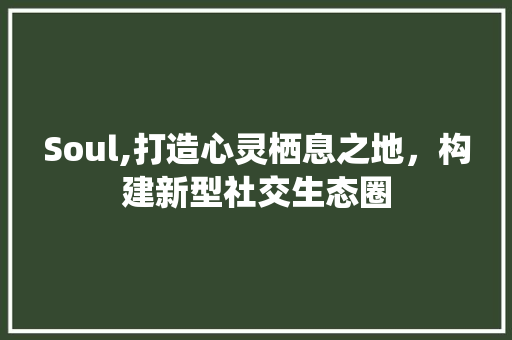 Soul,打造心灵栖息之地，构建新型社交生态圈