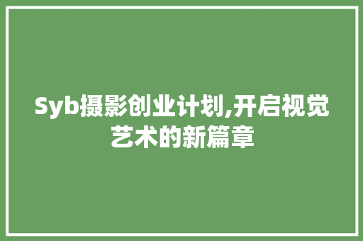 Syb摄影创业计划,开启视觉艺术的新篇章