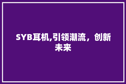SYB耳机,引领潮流，创新未来