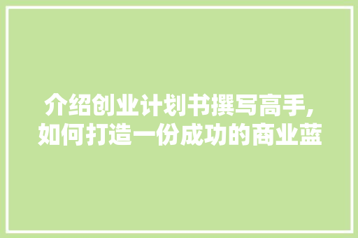 介绍创业计划书撰写高手,如何打造一份成功的商业蓝图