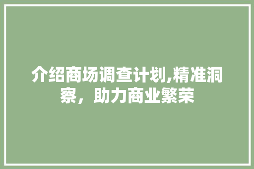 介绍商场调查计划,精准洞察，助力商业繁荣