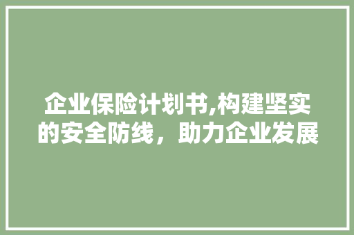 企业保险计划书,构建坚实的安全防线，助力企业发展