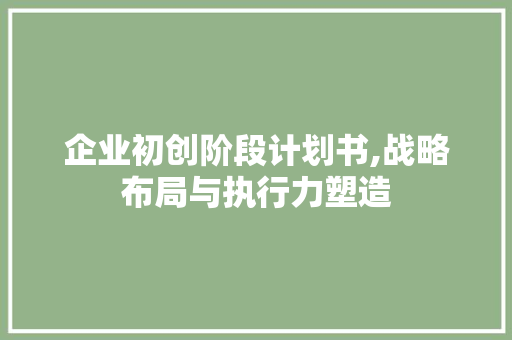 企业初创阶段计划书,战略布局与执行力塑造
