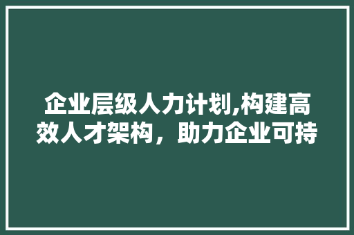企业层级人力计划,构建高效人才架构，助力企业可持续发展