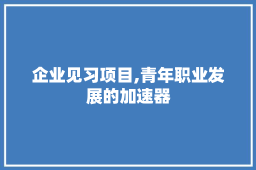 企业见习项目,青年职业发展的加速器
