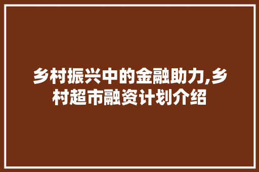 乡村振兴中的金融助力,乡村超市融资计划介绍