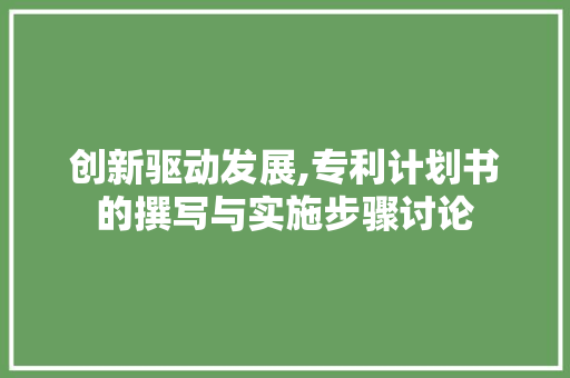 创新驱动发展,专利计划书的撰写与实施步骤讨论