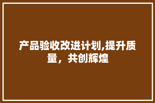 产品验收改进计划,提升质量，共创辉煌