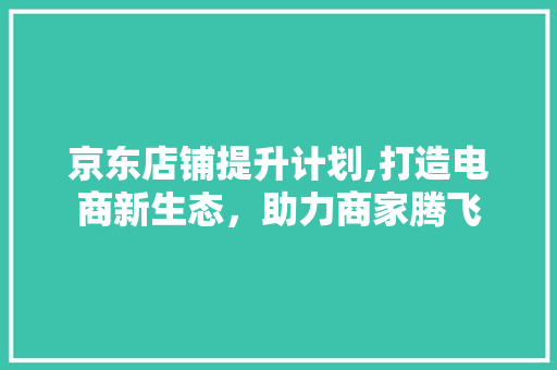 京东店铺提升计划,打造电商新生态，助力商家腾飞