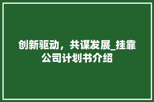 创新驱动，共谋发展_挂靠公司计划书介绍