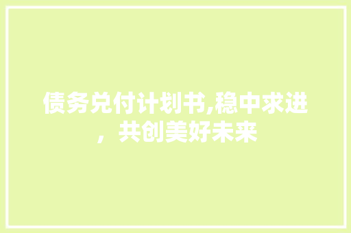 债务兑付计划书,稳中求进，共创美好未来