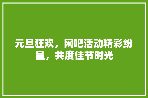 元旦狂欢，网吧活动精彩纷呈，共度佳节时光 采访稿
