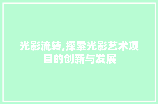 光影流转,探索光影艺术项目的创新与发展