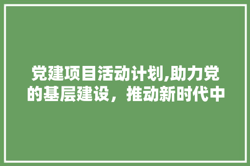 党建项目活动计划,助力党的基层建设，推动新时代中国特色社会主义伟大事业