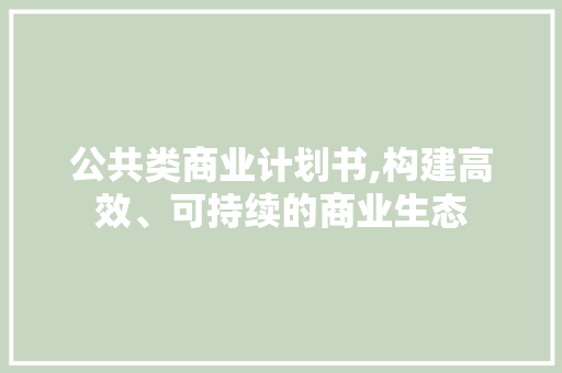 公共类商业计划书,构建高效、可持续的商业生态