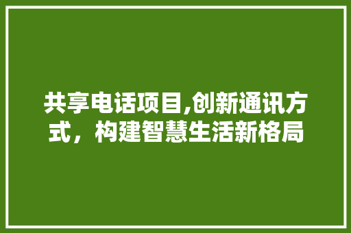 共享电话项目,创新通讯方式，构建智慧生活新格局