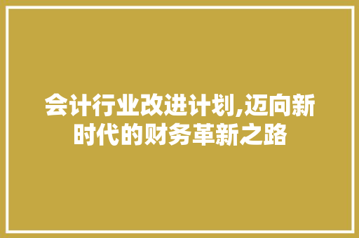 会计行业改进计划,迈向新时代的财务革新之路