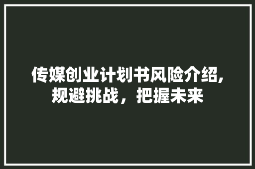传媒创业计划书风险介绍,规避挑战，把握未来