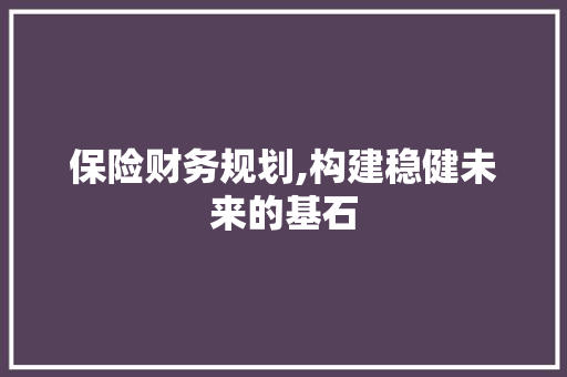 保险财务规划,构建稳健未来的基石