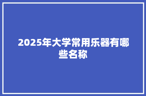 2025年大学常用乐器有哪些名称