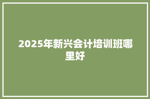 2025年新兴会计培训班哪里好
